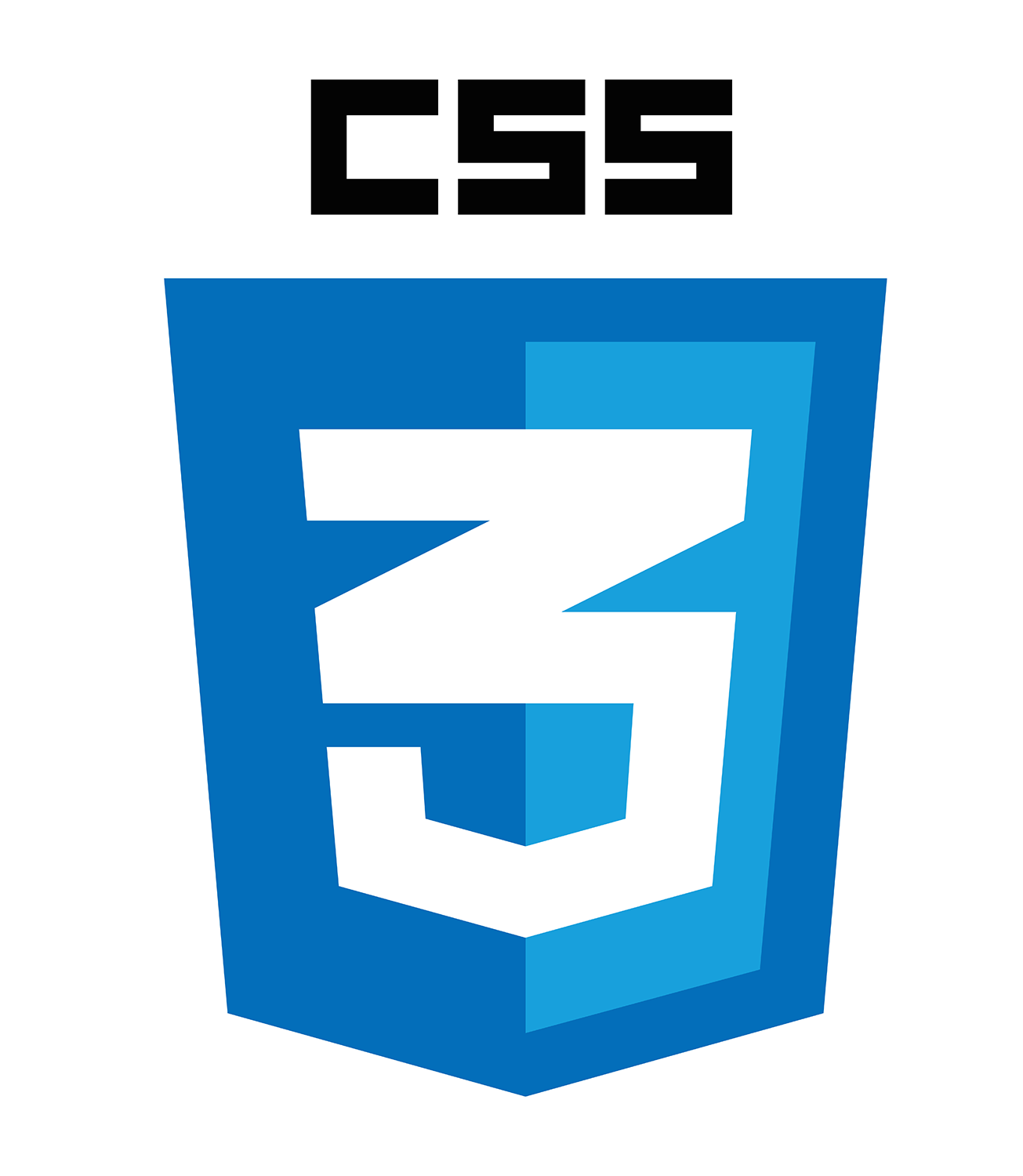 Logo CSS3